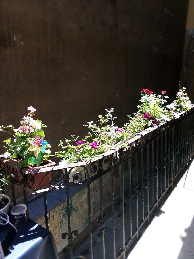 Apartmán Kalvin Ter *